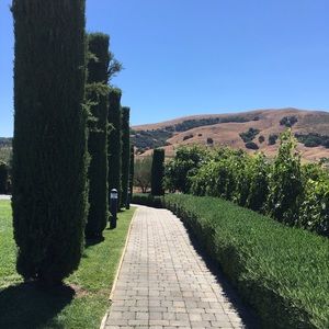 Meet your Posher, Sharon