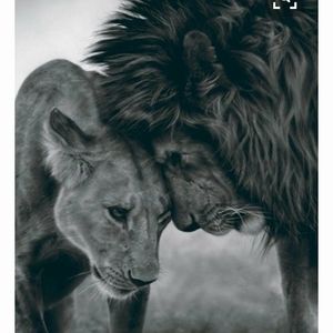 Meet your Posher, Stella