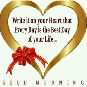 Meet your Posher, Tamara