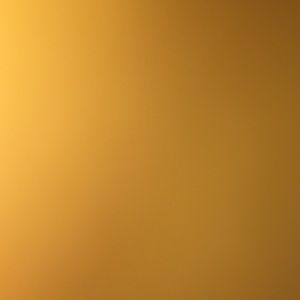 Meet your Posher, Tamara