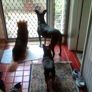 Meet your Posher, Carolyn