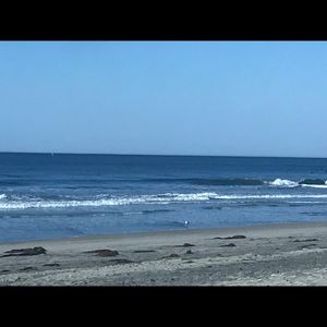 Meet your Posher, Daisy