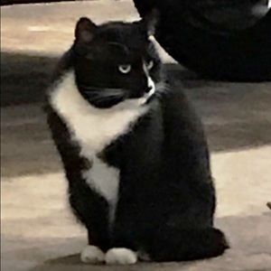 Meet your Posher, Sandy