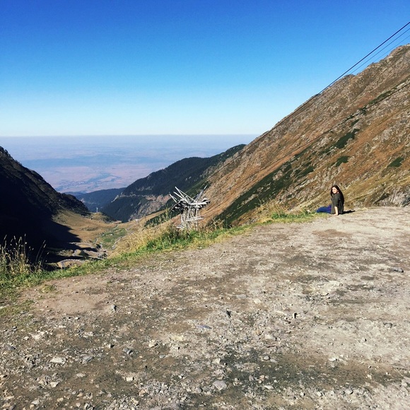 Meet your Posher, Tabita - Picture 2 of 2