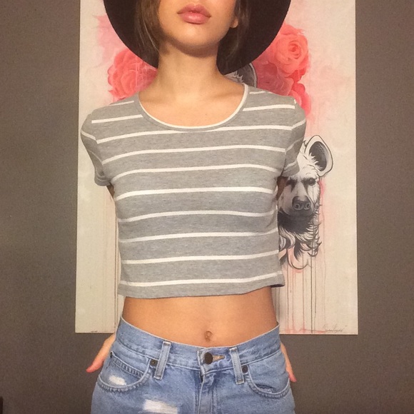 Grey Striped Crop Top