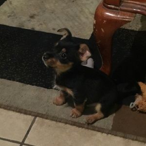 Meet your Posher, Rita