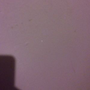 Meet your Posher, Daisha