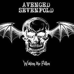 Meet your Posher, Damian