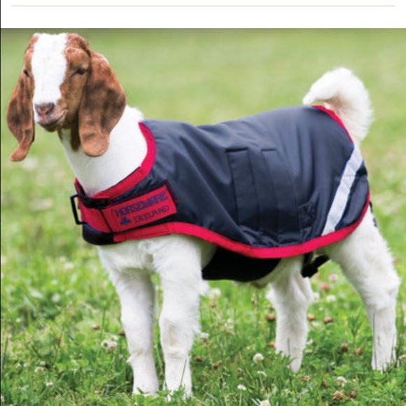 Meet your Posher, Megan - Picture 1 of 1