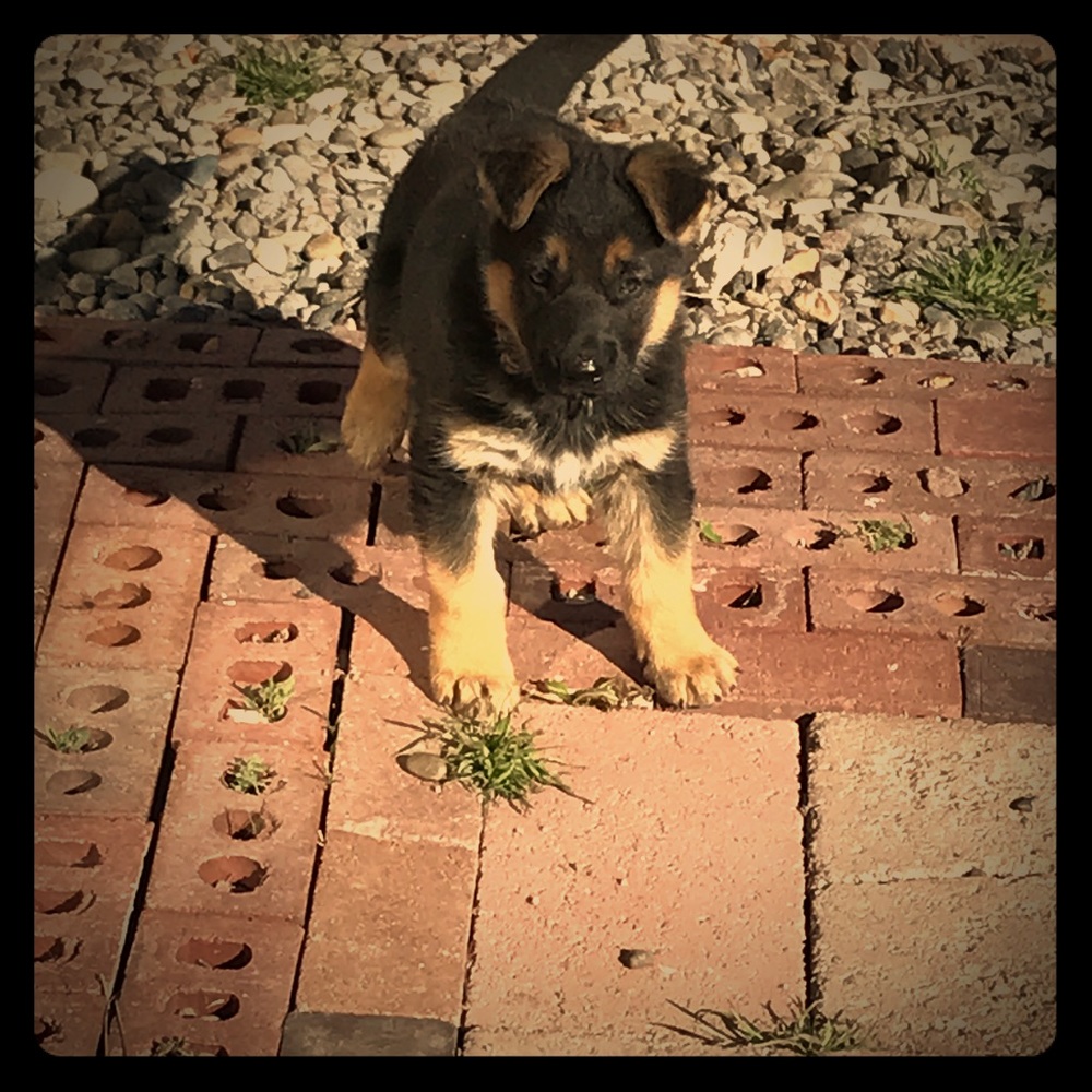 Meet your Posher, Sarah