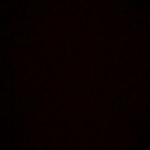 Meet your Posher, Savannah