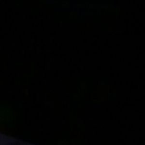 Meet your Posher, Tyrese