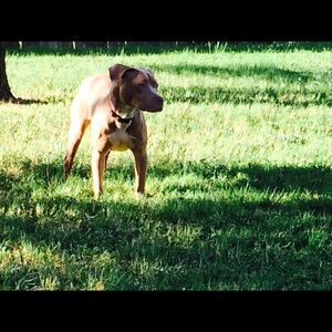 Meet your Posher, Timika