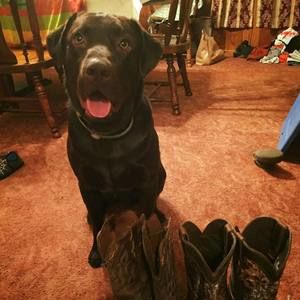 Meet your Posher, Cathryn