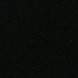 Meet your Posher, Lidiya