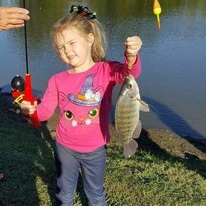 Meet your Posher, Hollie richardson