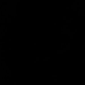 Meet your Posher, Kareen