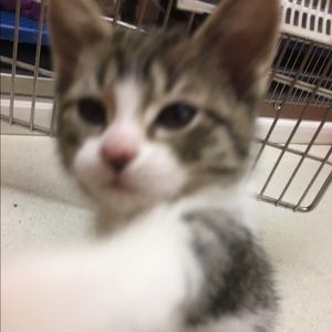 Meet your Posher, Carly