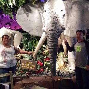 Meet your Posher, Estela