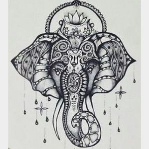 Meet your Posher, Daniella