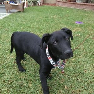 Meet your Posher, Amy