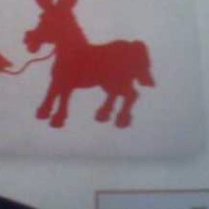 Meet your Posher, Becky