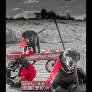 Meet your Posher, Thomas