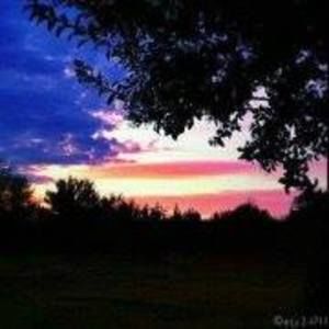 Meet your Posher, Simone