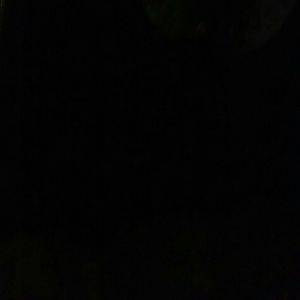 Meet your Posher, Eva