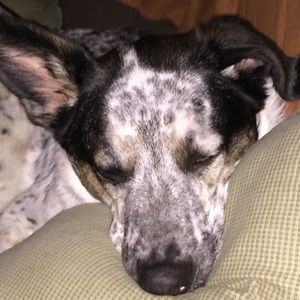 Meet your Posher, Deborah