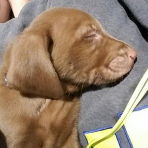 Meet your Posher, Serena