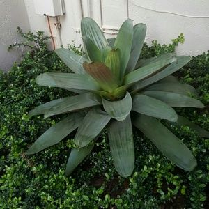 Meet your Posher, Nelson