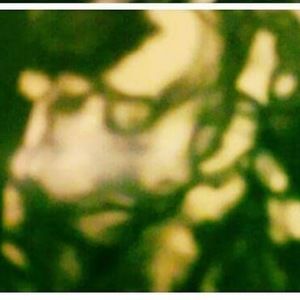 Meet your Posher, Iris