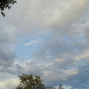 Meet your Posher, Nikko