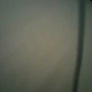 Meet your Posher, Daniela