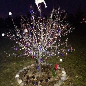 Meet your Posher, Tom