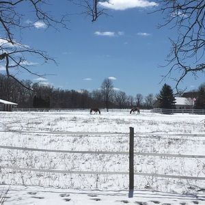 Meet your Posher, Truman