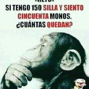 Meet your Posher, Leandro