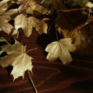 Meet your Posher, Geraldine