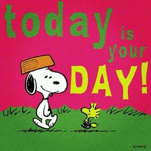 Meet your Posher, Kim