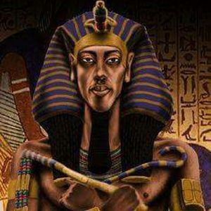 Meet your Posher, Tiaira