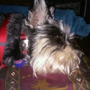 Meet your Posher, Sherry