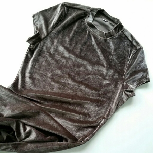 Silvery Brown Velvet Sheath Dress - Picture 3 of 4