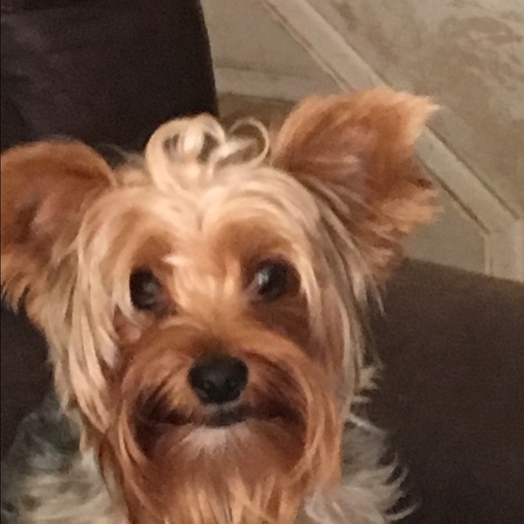 Meet your Posher, Debbie