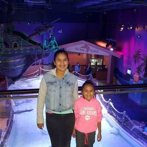 Meet your Posher, Andres