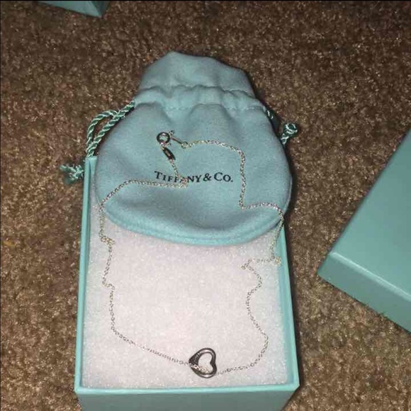 ❌SOLD❌Elsa Peretti Tiffany & Co Necklace. NWT