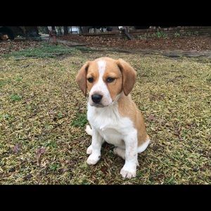 Meet your Posher, Beverly