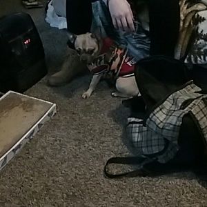 Meet your Posher, Austin