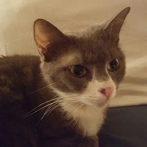 Meet your Posher, Linette