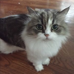 Meet your Posher, Megan